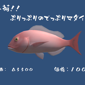 マダイ