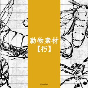 動物素材【朽】