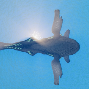 ナバルデウス　3Dアバター　(Nabaldeus 3D Avatar） 缩略图 2