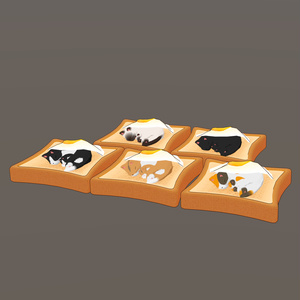 ねこakyo 缩略图 4