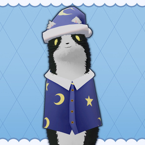 寝巻きねこakyo