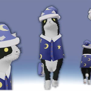寝巻きねこakyo 缩略图 2