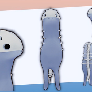 フィッシュボーンakyo 缩略图 2