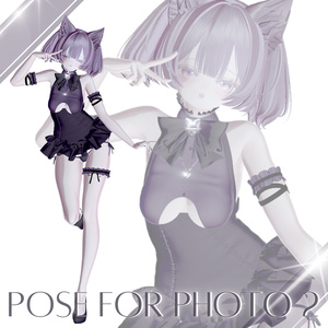 ໒꒱ 15種類 ⋆꙳ pose for photo 2 缩略图 2