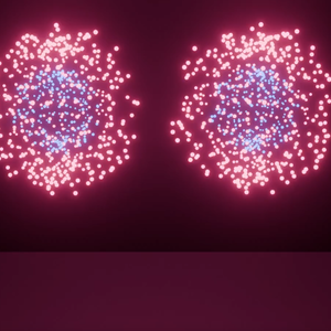 花火(牡丹)