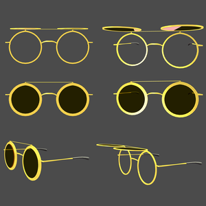 Flip Glasses