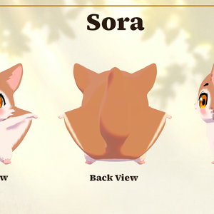 Sora 