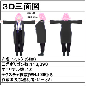 オリジナル3Dモデル「シルタ」V1.1 缩略图 3