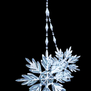 Snowflake Earring