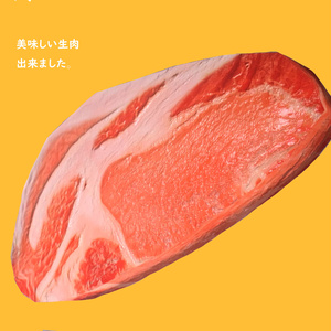 リアル生肉出来ました！