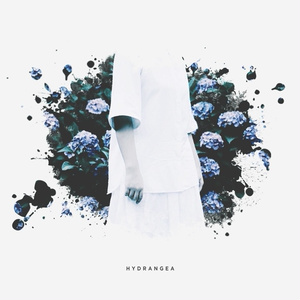 【HYDRANGEA】PSD