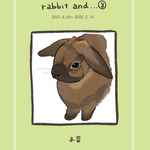 rabbit  and…③