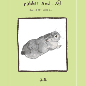 rabbit and…④