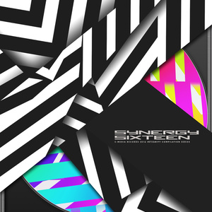 SYNERGY SIXTEEN