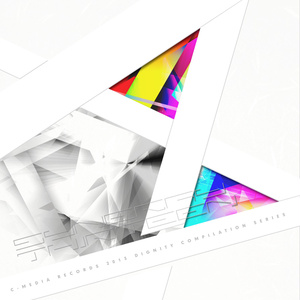 SYNERGY THIRTEEN
