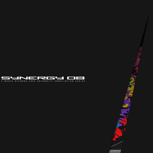SYNERGY 08