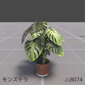 VRChat - Indoor Plants Pack【観葉植物】 缩略图 6