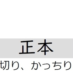 2つセット！無地プレートつき人生の実績解除パズル 2つセット！無地プレートセット 人生の実績解除パズル 2つセット