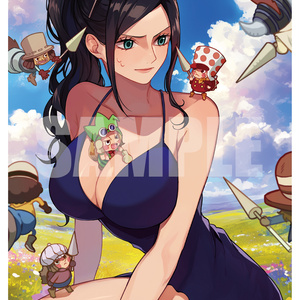 《新作スリーブ9》ROBIN