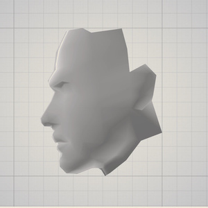 3d   顔