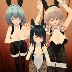 bodyset2共通素体対応バニースーツ 缩略图 2