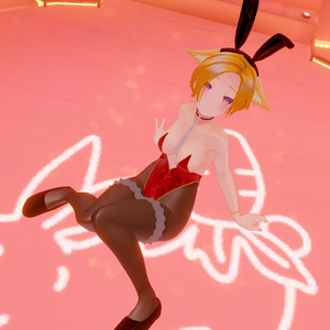 桔梗ちゃん専用シャープバニー 缩略图 6
