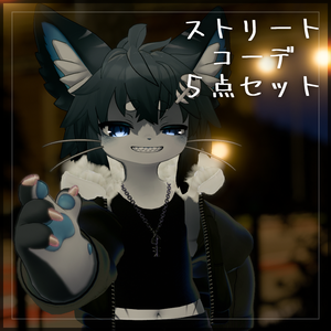 【４キャラ対応】ストリートコーデ｜Street Style