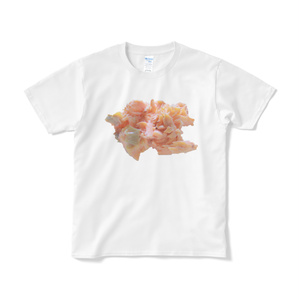 おにぎりの具Tシャツ　シャケ