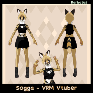 Sogga 3D vtuber (VRM - Vroid File)