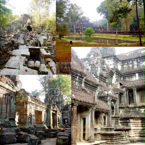熱帯の古代遺跡：写真素材集