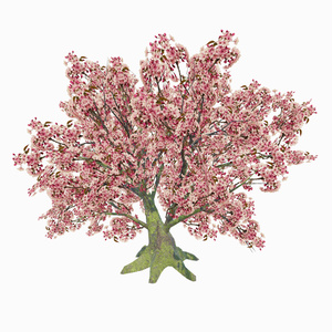 桜の中の隠れ家（66点） 缩略图 7