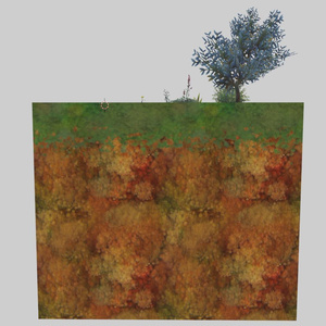 【無料】草アセットサンプルデータ【blender2.92】 缩略图 2