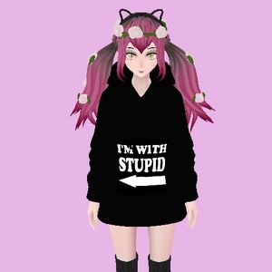 Black Hoodie "I´m with stupid"