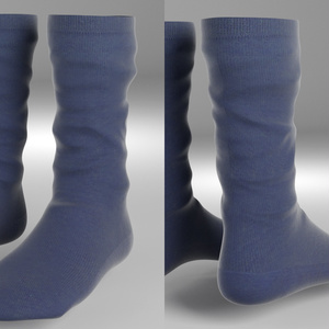 3Dモデル うわばき 靴下セット