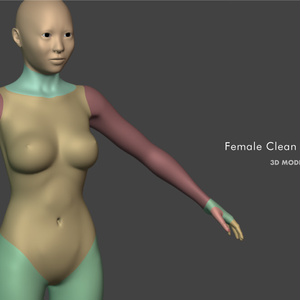 3Dモデル Female Clean Base Mesh（クリーンな女性のベースメッシュ）
