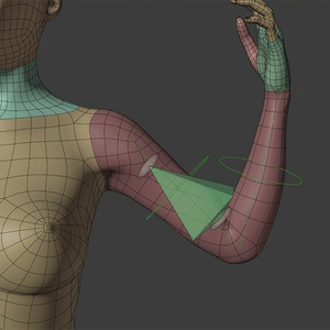 3Dモデル Blender Advanced Skeleton Female Base Mesh（リギング済みベースメッシュ）