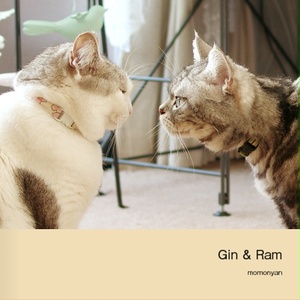 『Gin ＆ Ram』