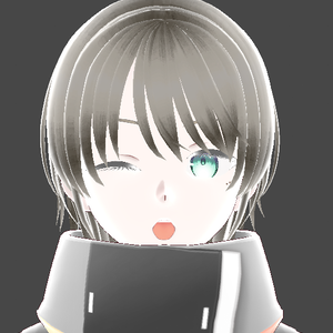 VRM　4種類　男女兼用　公式素材