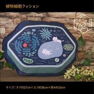 植物細胞クッション【送料込】