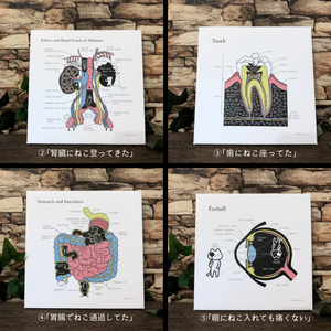※解剖学とねこ（改訂版）キャンバスアート【送料込】
