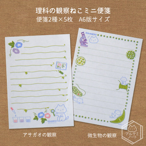 理科の観察ねこミニ便箋セット
