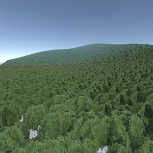 【無料あり】ローポリの樹木 3Dモデル