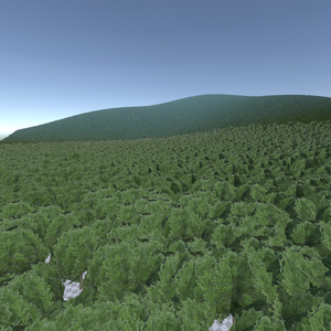 【無料あり】ローポリの樹木 3Dモデル