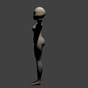 3D body model