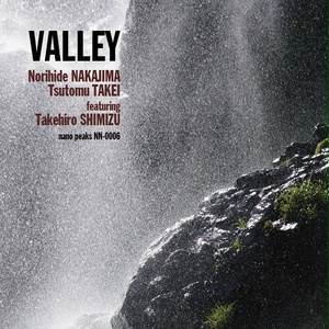 (CD) VALLEY / 中島教秀・武井努 feat. 清水勇博