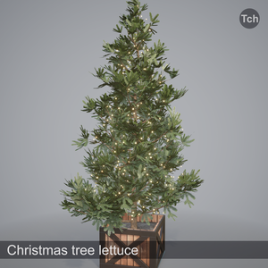 Christmas tree lettuce (3D) | レタス色のクリスマス ツリー (3D)