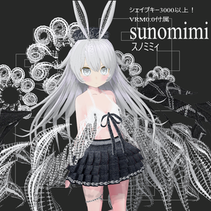 【アバター１体無料キャンペーン】オリジナル3Dモデル「スノミミィ(sunomii)」