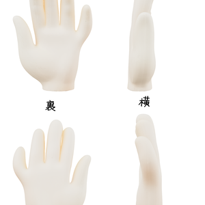 手の「正面」「裏」「横」「横２」