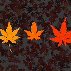 紅葉ブラシ