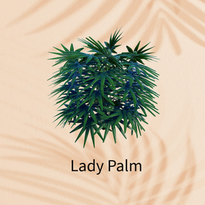 【無料】La Fille Tropical Green Set 缩略图 5